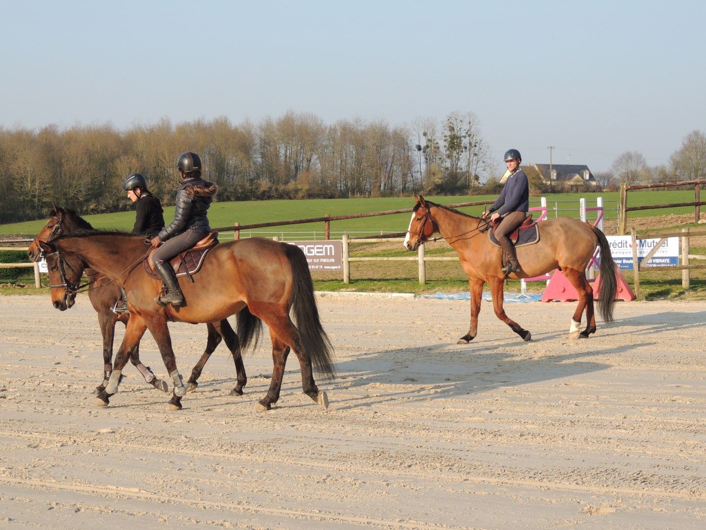 Cours Vibraye Equitation