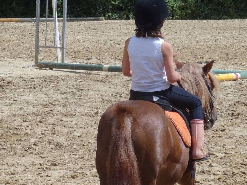 vibraye equitation - cours baby