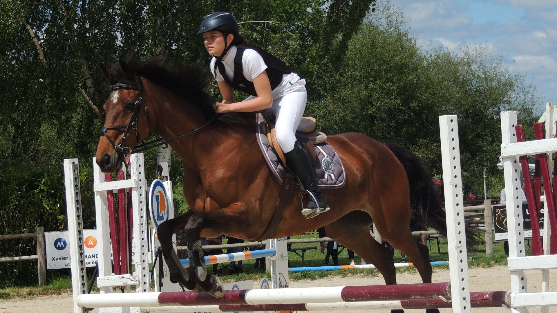 vibraye equitation